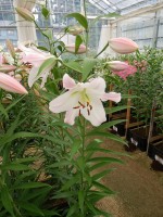 [4131 Jura No01.JPG]